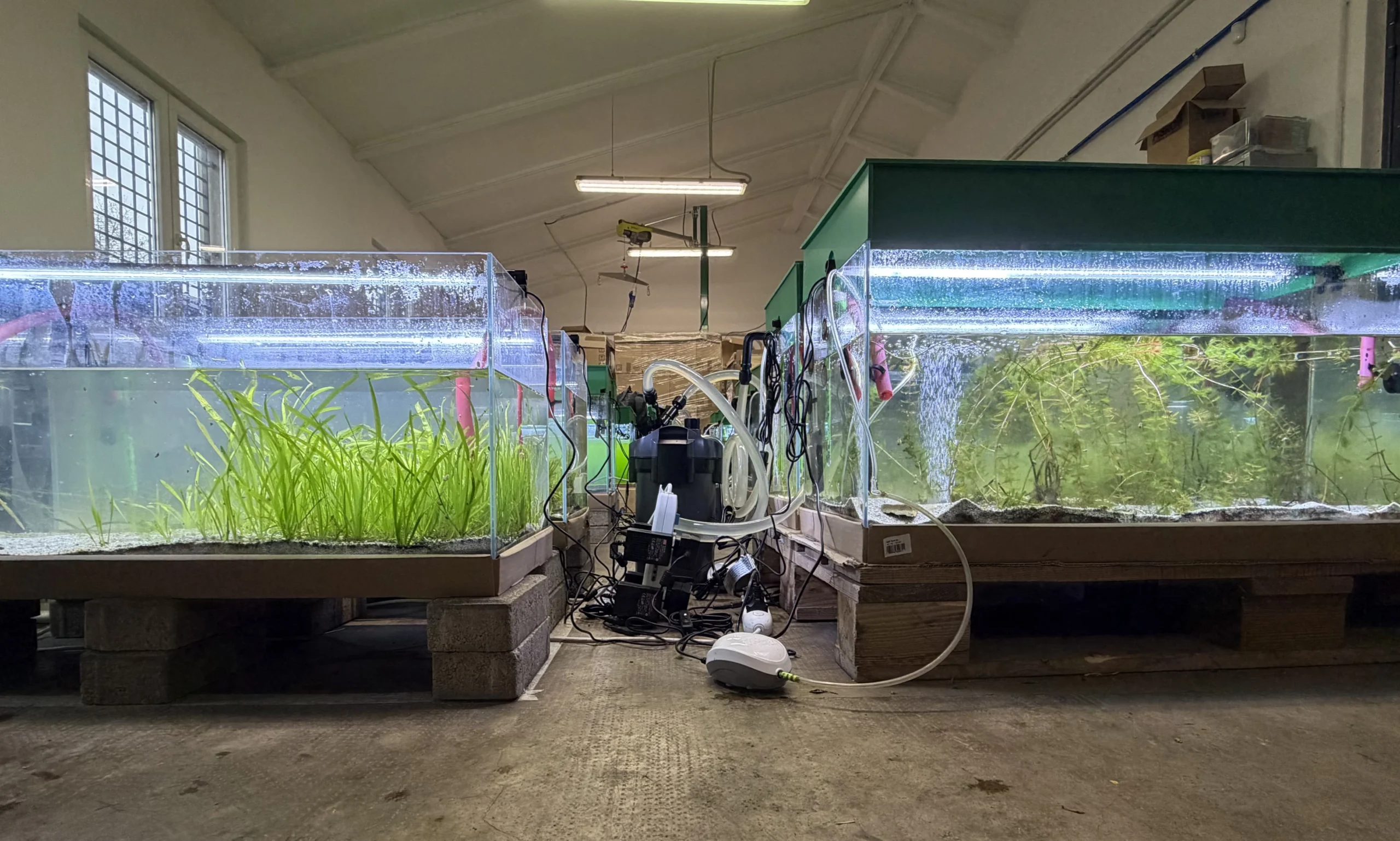 Image de l’article